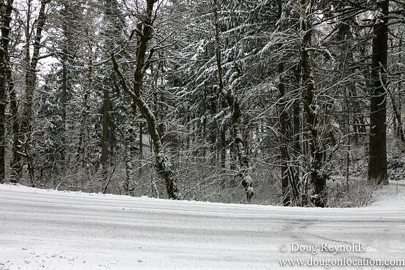 Snow Roads Mt HoodOregon