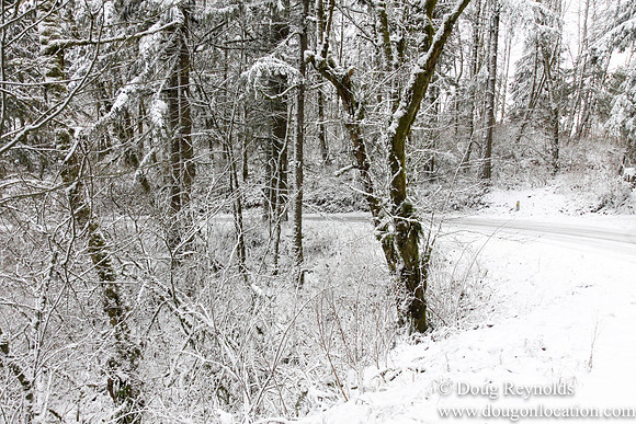 Snow Roads Mt HoodOregon