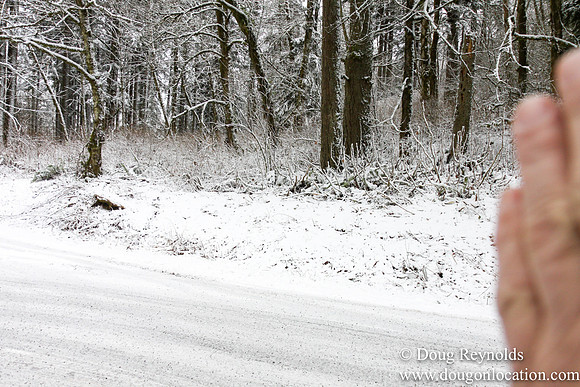 Snow Roads Mt HoodOregon