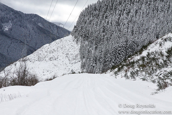 Snow Roads Mt HoodOregon