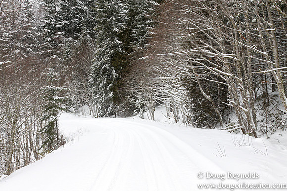 Snow Roads Mt HoodOregon