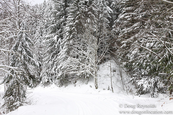 Snow Roads Mt HoodOregon