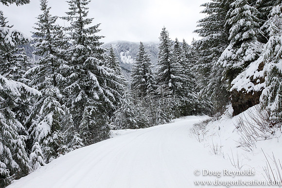 Snow Roads Mt HoodOregon