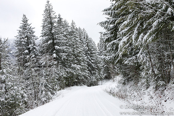 Snow Roads Mt HoodOregon