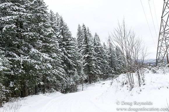 Snow Roads Mt HoodOregon