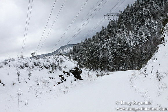Snow Roads Mt HoodOregon