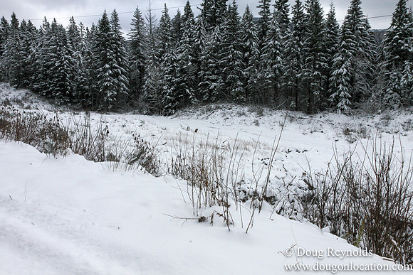 Snow Roads Mt HoodOregon