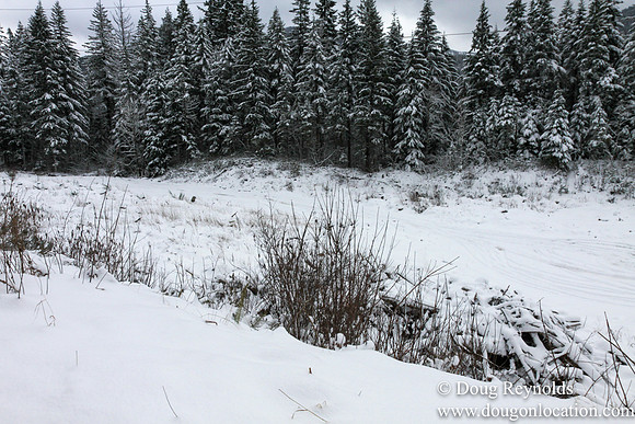 Snow Roads Mt HoodOregon