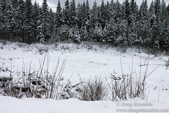 Snow Roads Mt HoodOregon