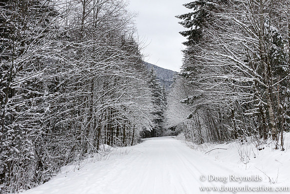 Snow Roads Mt HoodOregon