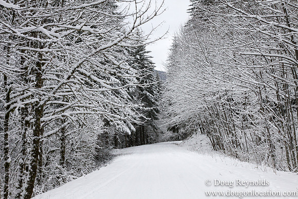Snow Roads Mt HoodOregon