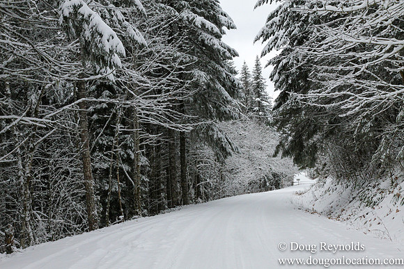Snow Roads Mt HoodOregon