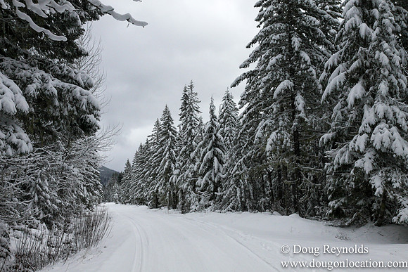 Snow Roads Mt HoodOregon