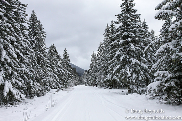 Snow Roads Mt HoodOregon