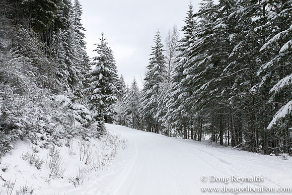 Snow Roads Mt HoodOregon