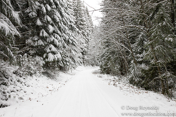 Snow Roads Mt HoodOregon