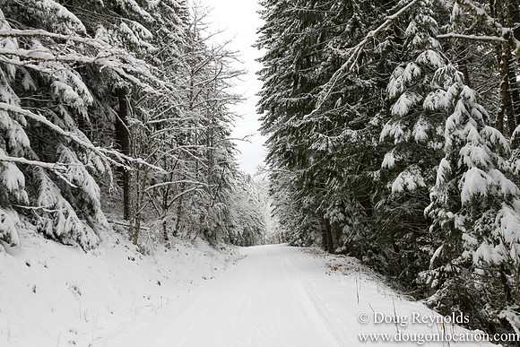 Snow Roads Mt HoodOregon