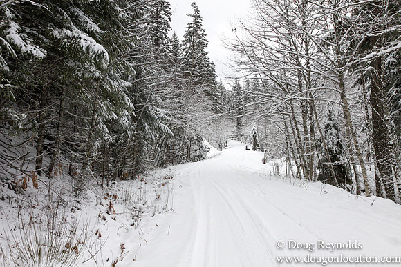 Snow Roads Mt HoodOregon