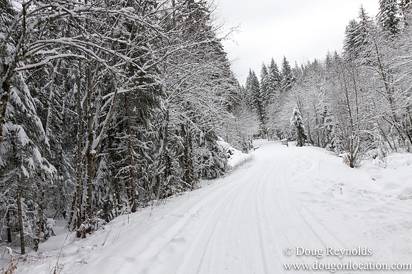Snow Roads Mt HoodOregon