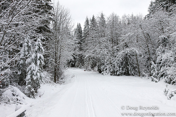 Snow Roads Mt HoodOregon