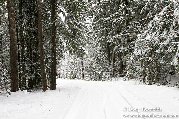Snow Roads Mt HoodOregon