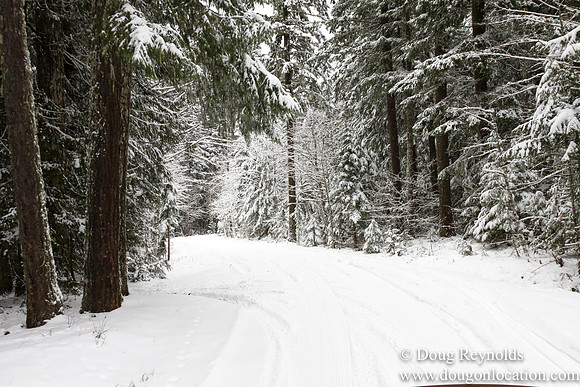 Snow Roads Mt HoodOregon