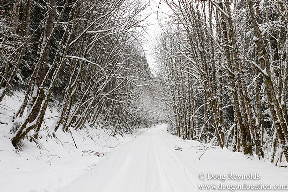 Snow Roads Mt HoodOregon