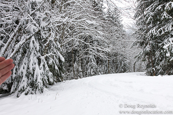 Snow Roads Mt HoodOregon