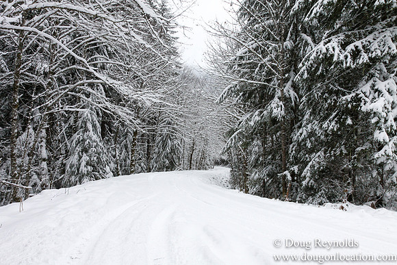 Snow Roads Mt HoodOregon