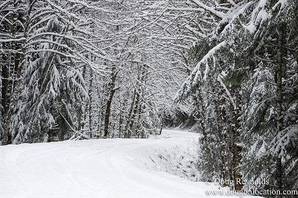 Snow Roads Mt HoodOregon