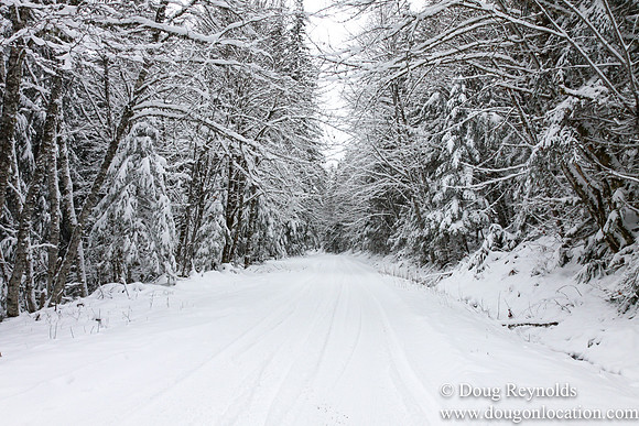 Snow Roads Mt HoodOregon