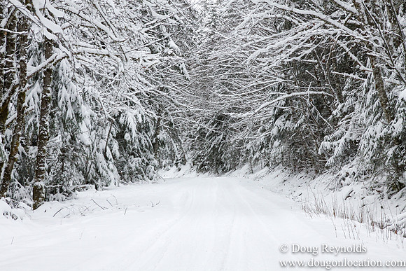 Snow Roads Mt HoodOregon