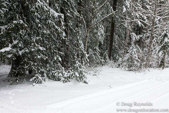 Snow Roads Mt HoodOregon