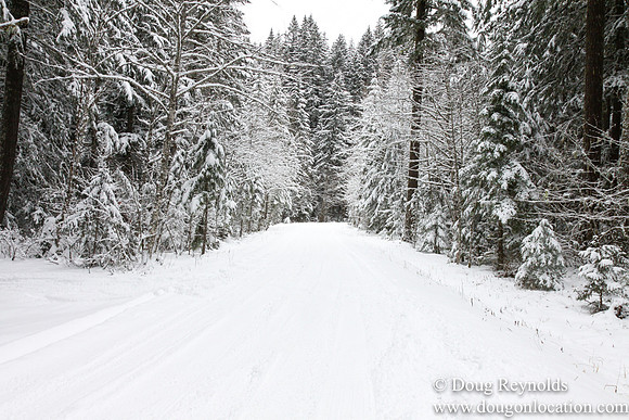 Snow Roads Mt HoodOregon