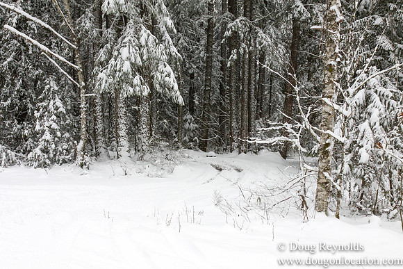 Snow Roads Mt HoodOregon