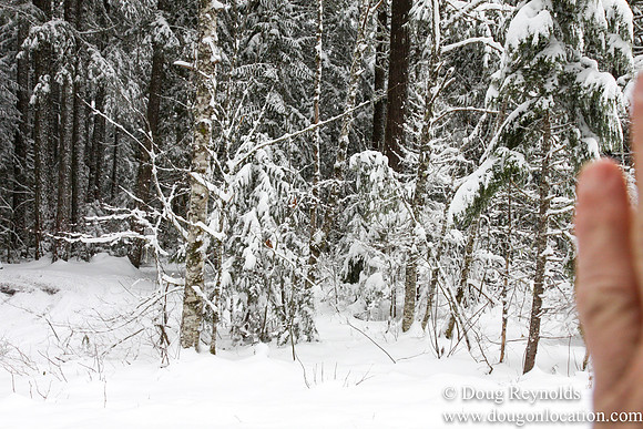 Snow Roads Mt HoodOregon