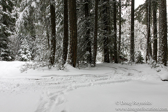 Snow Roads Mt HoodOregon