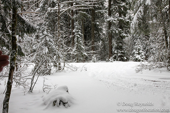 Snow Roads Mt HoodOregon
