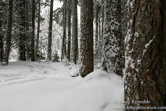 Snow Roads Mt HoodOregon