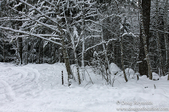 Snow Roads Mt HoodOregon