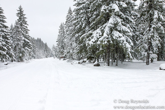 Snow Roads Mt HoodOregon