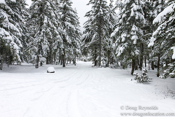 Snow Roads Mt HoodOregon