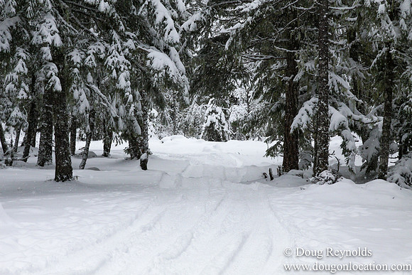 Snow Roads Mt HoodOregon