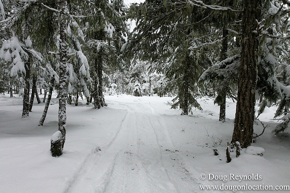 Snow Roads Mt HoodOregon