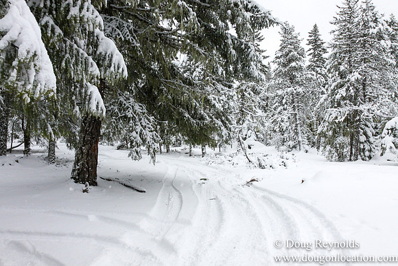 Snow Roads Mt HoodOregon