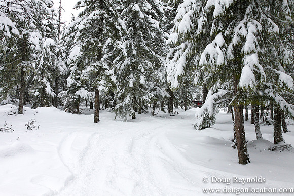 Snow Roads Mt HoodOregon