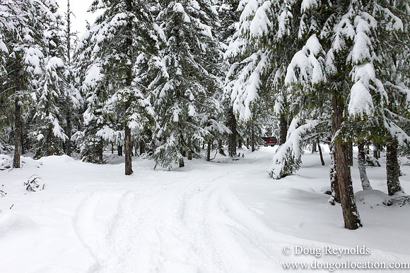 Snow Roads Mt HoodOregon