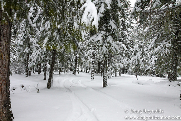 Snow Roads Mt HoodOregon