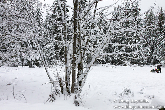 Snow Roads Mt HoodOregon