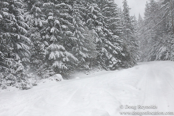 Snow Roads Mt HoodOregon